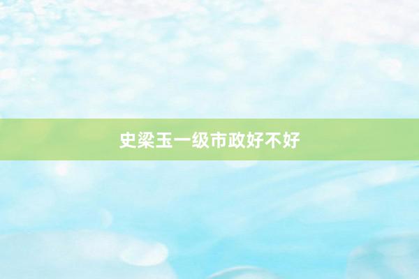 史梁玉一级市政好不好